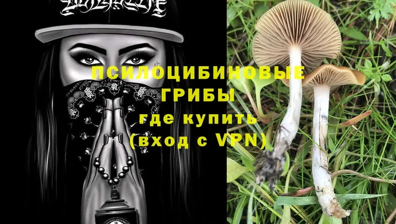 Псилоцибиновые грибы MAGIC MUSHROOMS  Калининец 